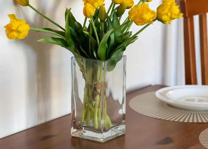 Comfy With Balcony Turystyczna By Renters Appartement Miedzyzdroje